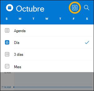 Opciones del botón vista Calendario de iOS