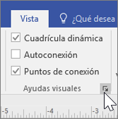Captura de pantalla de las opciones de la pestaña Vista con Cuadrícula dinámica y Puntos de conexión seleccionadas