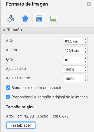 captura de pantalla que muestra el panel de formato de imagen de Excel con el botón Restablecer resaltado.