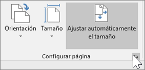Captura de pantalla de la barra de herramientas Configurar página con la opción Ajustar automáticamente el tamaño seleccionada