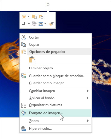 Captura de pantalla de las opciones de Formato de imagen en Publisher.