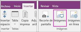 Captura de pantalla del botón Insertar imágenes en OneNote 2016.