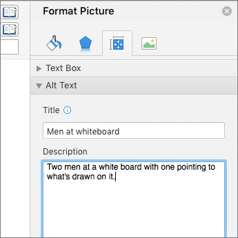 Captura de pantalla del área de texto alternativo del panel Dar formato a la imagen que describe la imagen seleccionada
