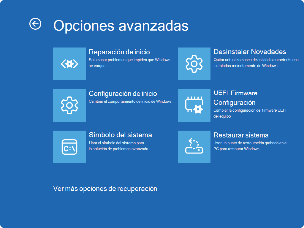 Captura de pantalla de Windows RE: Pantalla de opciones avanzadas.