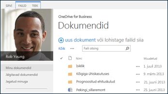 SharePoint 2013 OneDrive for Business
