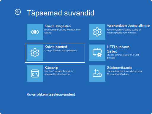 Kuvatõmmis Windows RE-st – täpsemad suvandid.