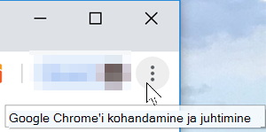 Pilt Google Chrome'i veebibrauseri atribuutidest