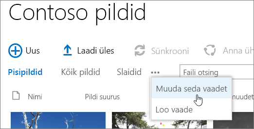 Pilditeegi vaateriba, kus on valitud „Muuda vaadet”