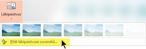 Picture Transparency Options let you choose a custom opacity level for a picture