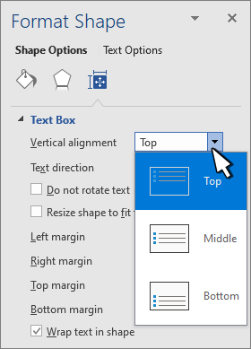 Format Shape panel with Vertical Alignment selected