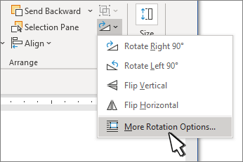 Rotation menu with More Rotation Options selected