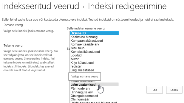 Indeksi redigeerimise leht, kus on rippmenüüst valitud veerg