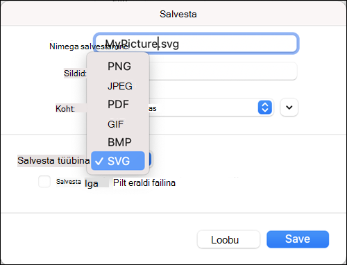 Dialoogiboks Nimega salvestamine opsüsteemis Outlook 2021 for Mac, kus on valitud SVG-suvand