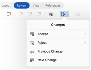 Word for iPad Review Changes options