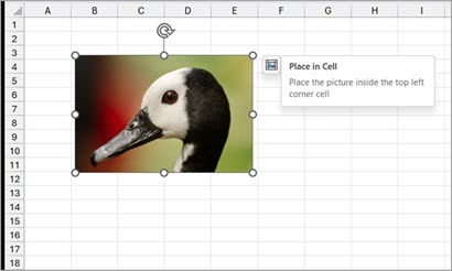 Kuvan lisääminen soluun Excelin kolmen version two.jpg