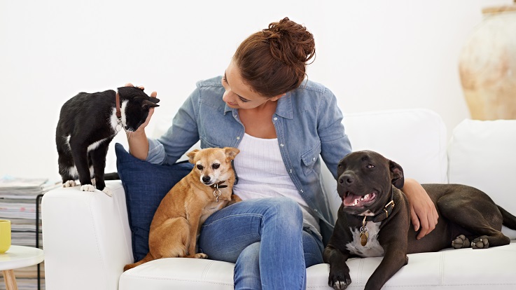 kuva naisesta sohvalla koirien ja kissojen kanssa