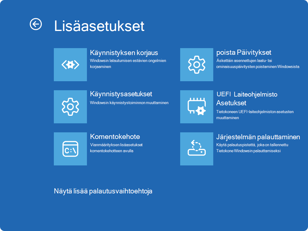 Näyttökuva Windows RE – Lisäasetukset -näytöstä.