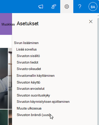 näyttökuva sivuston mukautusmerkinnästä