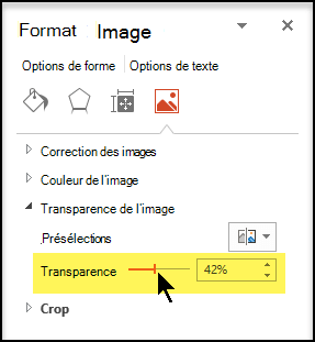 Faire glisser le curseur Transparency vers la droite pour ajuster le degré d’opacité de l’image