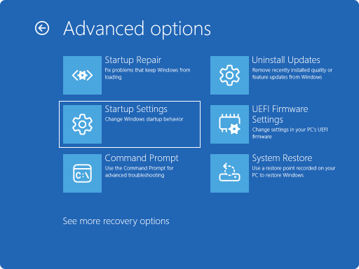 Capture d’écran de Windows RE - options avancées.