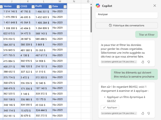 Capture d’écran montrant comment filtrer des données à l’aide de Copilot dans Excel.