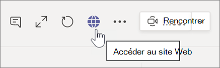 Capture d’écran du curseur pointant sur l’icône globe et du texte des conseils d’accès au site web