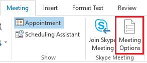 SkypemeetingOption 