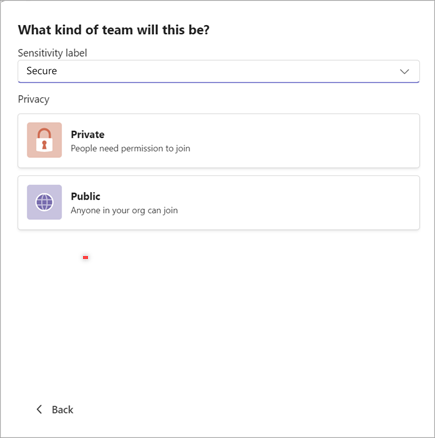 Capture d’écran d’une fenêtre permettant de créer une équipe dans Microsoft Teams avec des options permettant de définir la confidentialité sur « Sécurisé » et la confidentialité sur « Privé » ou « Public ».