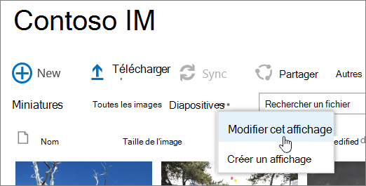 Barre d’affichage de la bibliothèque d’images avec l’option Modifier l’affichage sélectionnée