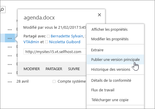 Cliquez sur Publier la version principale