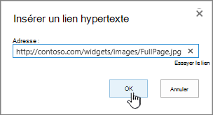 Boîte de dialogue lien hypertexte avec adresse Web et bouton OK en surbrillance