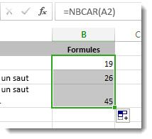 Saisie de plusieurs fonction NBCAR dans une feuille de calcul