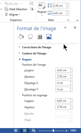 Volet Format de l’image, docké sur le côté droit de la fenêtre dans Word