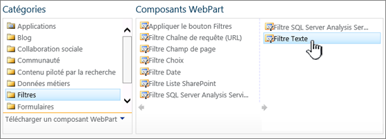 Sélection du composant WebPart filtre texte
