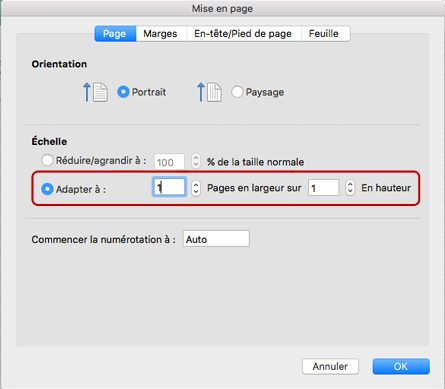 Capture d’écran de la boîte de dialogue Mise en page affichant l’option de mise à l’échelle "Ajuster à" 1 page en largeur par un nombre non spécifié de pages en hauteur.