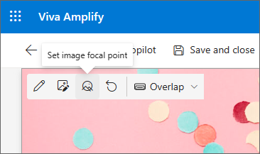 Capture d’écran du bouton Définir le point focal de l’image dans la barre d’outils.