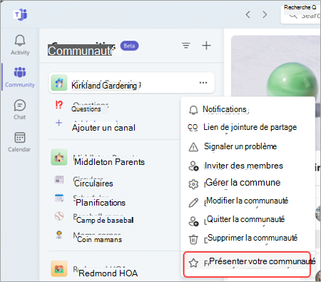 Capture d’écran de l’option de fonctionnalité de votre communauté dans les paramètres de la communauté dans l’équipe Microsoft (gratuite) sur le bureau.