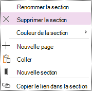 Option Supprimer la section mise en évidence dans le menu contextux de section OneNote pour Windows 10.