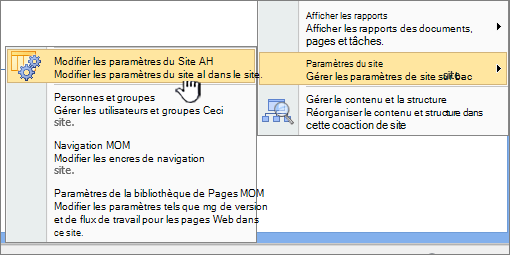 Option de modification de tous les paramètres du site sous paramètres du site