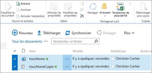 Section des options de modification du ruban avec deux éléments sélectionnés dans la liste