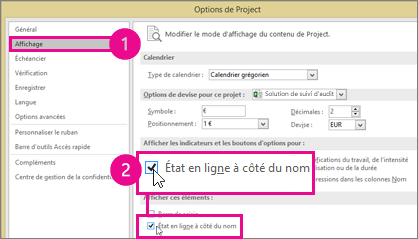 Project Options, Display tab