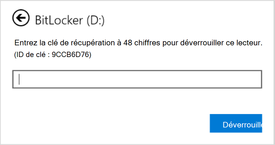 Capture d’écran de la boîte de dialogue permettant d’entrer la récupération BitLocker pour un lecteur de données.