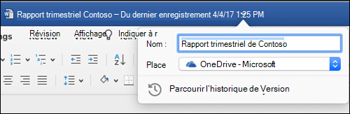 Boîte de dialogue Opérations sur les fichiers lancée en cliquant sur la barre de titre d’un document Word.
