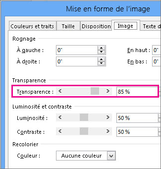 Capture d’écran de la boîte de dialogue Format de l’image dans Publisher