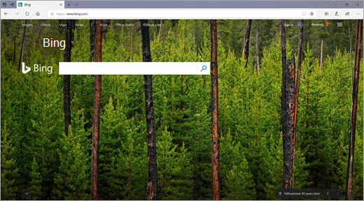 Page d’accueil de Bing