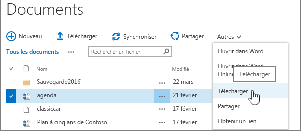 Option de téléchargement de fichier