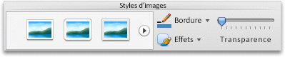 Onglet Format de l’image, groupe Styles d’images
