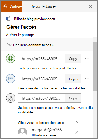 Capture d’écran du panneau Gérer l’accès affichant les liens de partage.