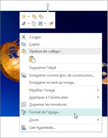 Capture d’écran des options de format de l’image dans Publisher