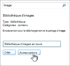 Boîte de dialogue Créer une bibliothèque d’images avec l’option Autres options mise en évidence